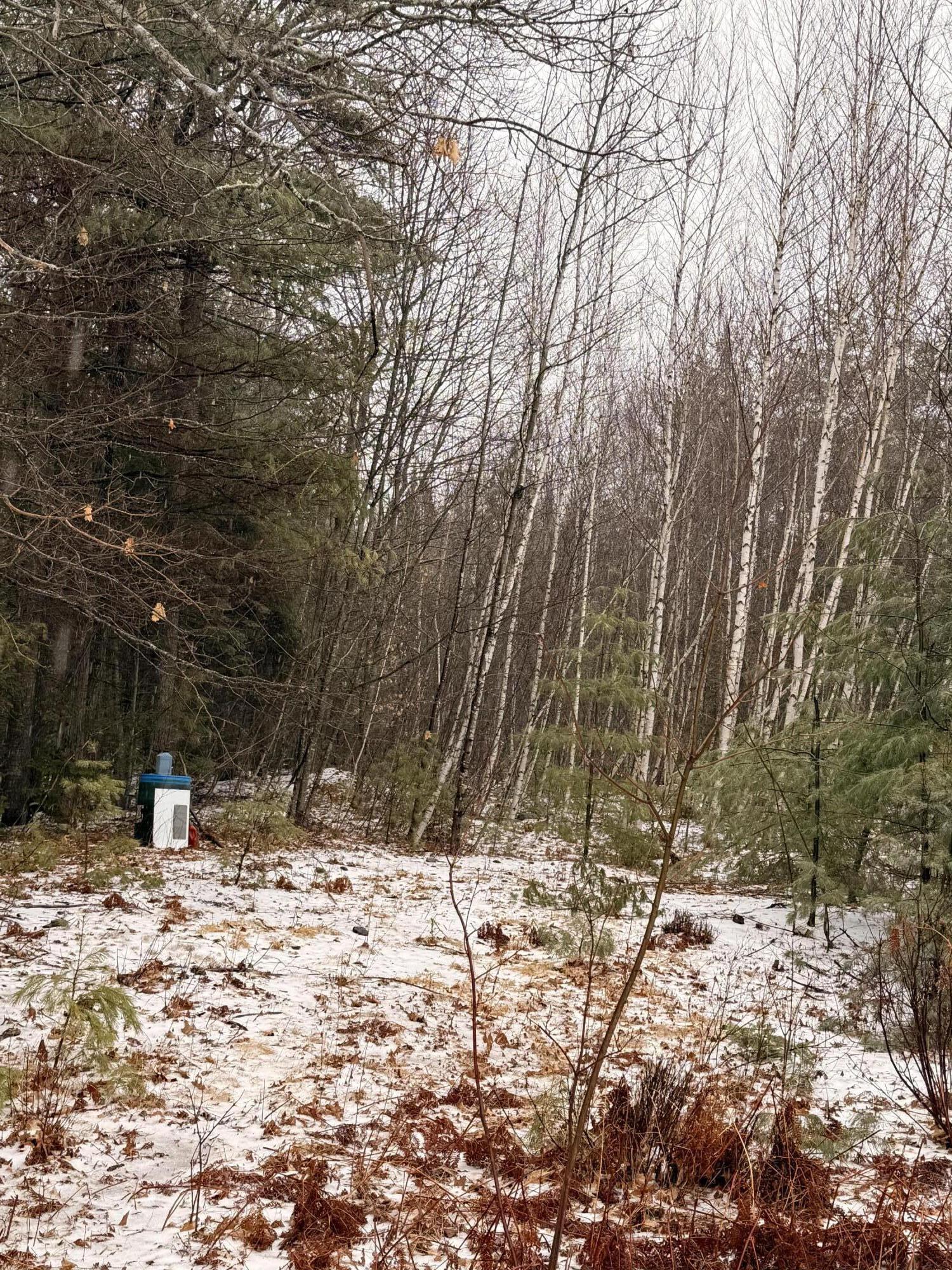 Lot #5 Mohawk Road Enfield, ME 04493 - Photo 1 of 2 IMG_0297