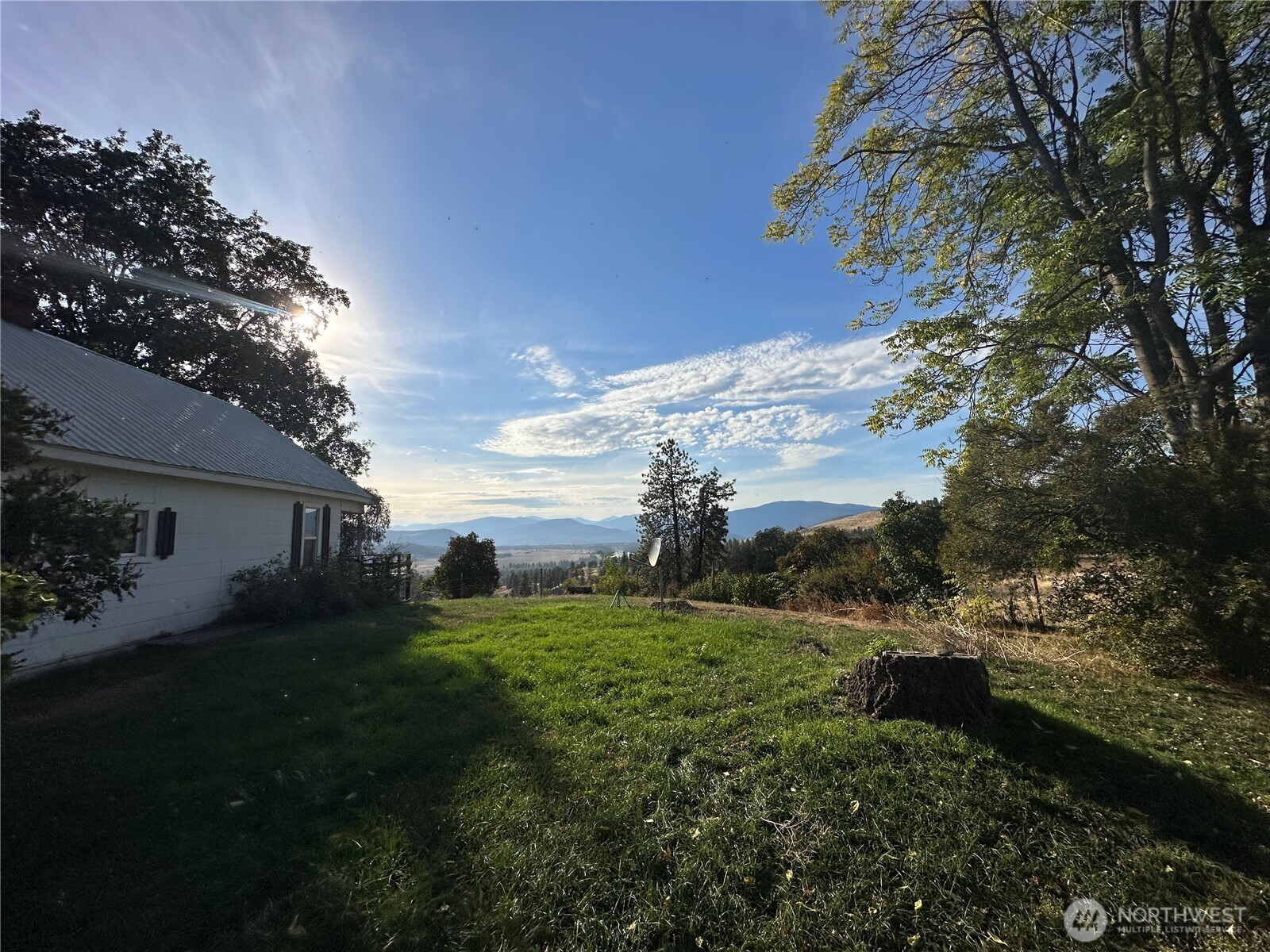 640 Highland Loop Road Kettle Falls, WA 99141 - Photo 11 of 38 a view of a backyard with plants and a large tree