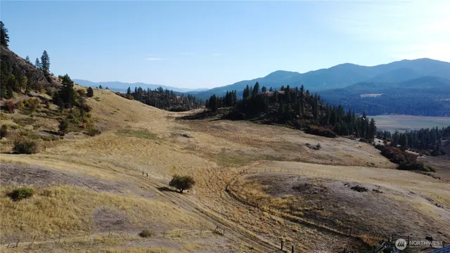 a view of a yard with an outdoor space