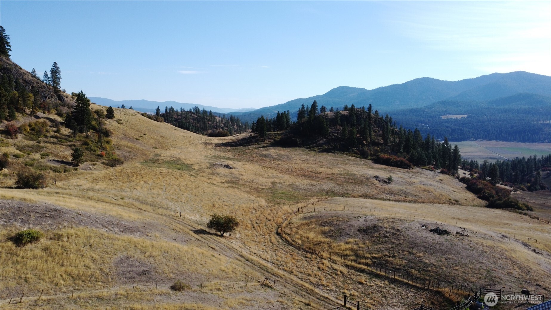 640 Highland Loop Road Kettle Falls, WA 99141 - Photo 20 of 38 a view of a dry yard