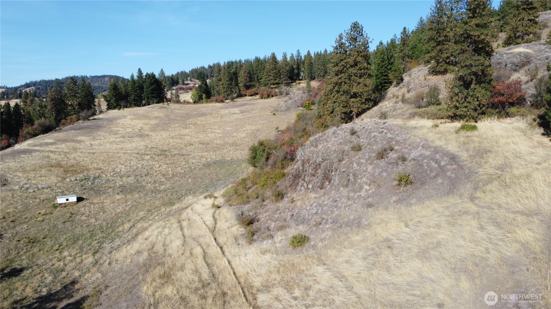 640 Highland Loop Road Kettle Falls, WA 99141 - Photo 28 of 38 a view of a dry yard with trees