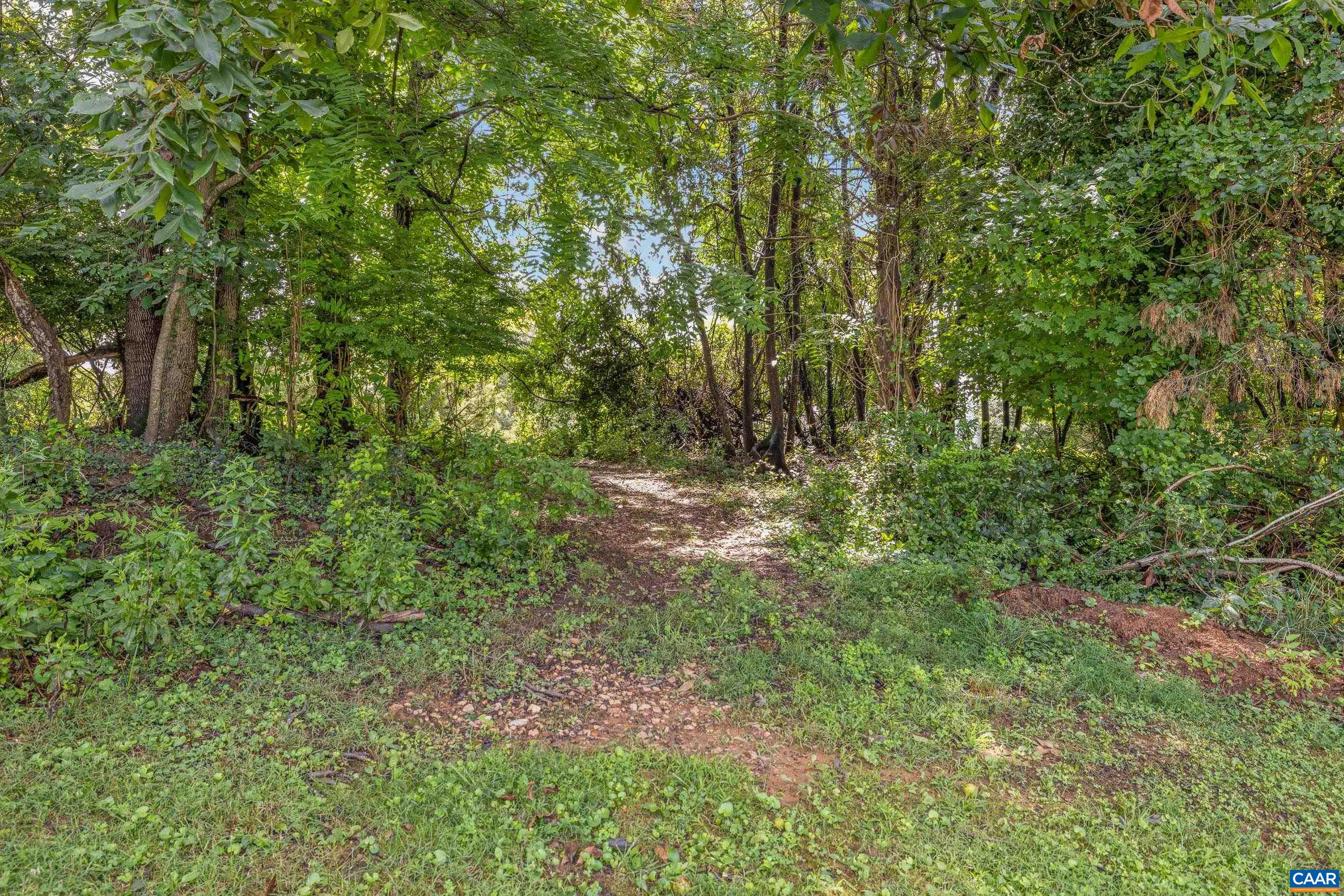 3495 Springfield Road Charlottesville, VA 22911 - Photo 14 of 46 Gallery Image 14