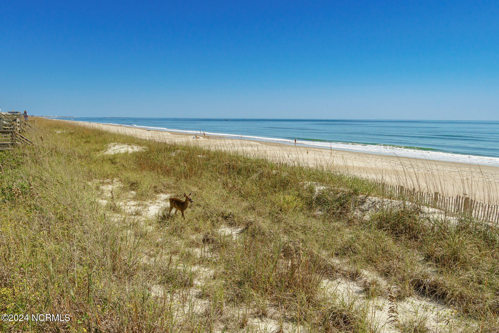 209 Salter Path Road Pine Knoll Shores, NC 28512 - Photo 57 of 73 Beautiful beach in the backyard