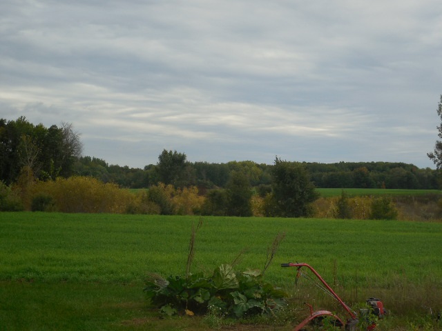 1551 West Pickard Road Mount Pleasant, MI 48858 - Photo 47 of 53 1807028-46.JPG