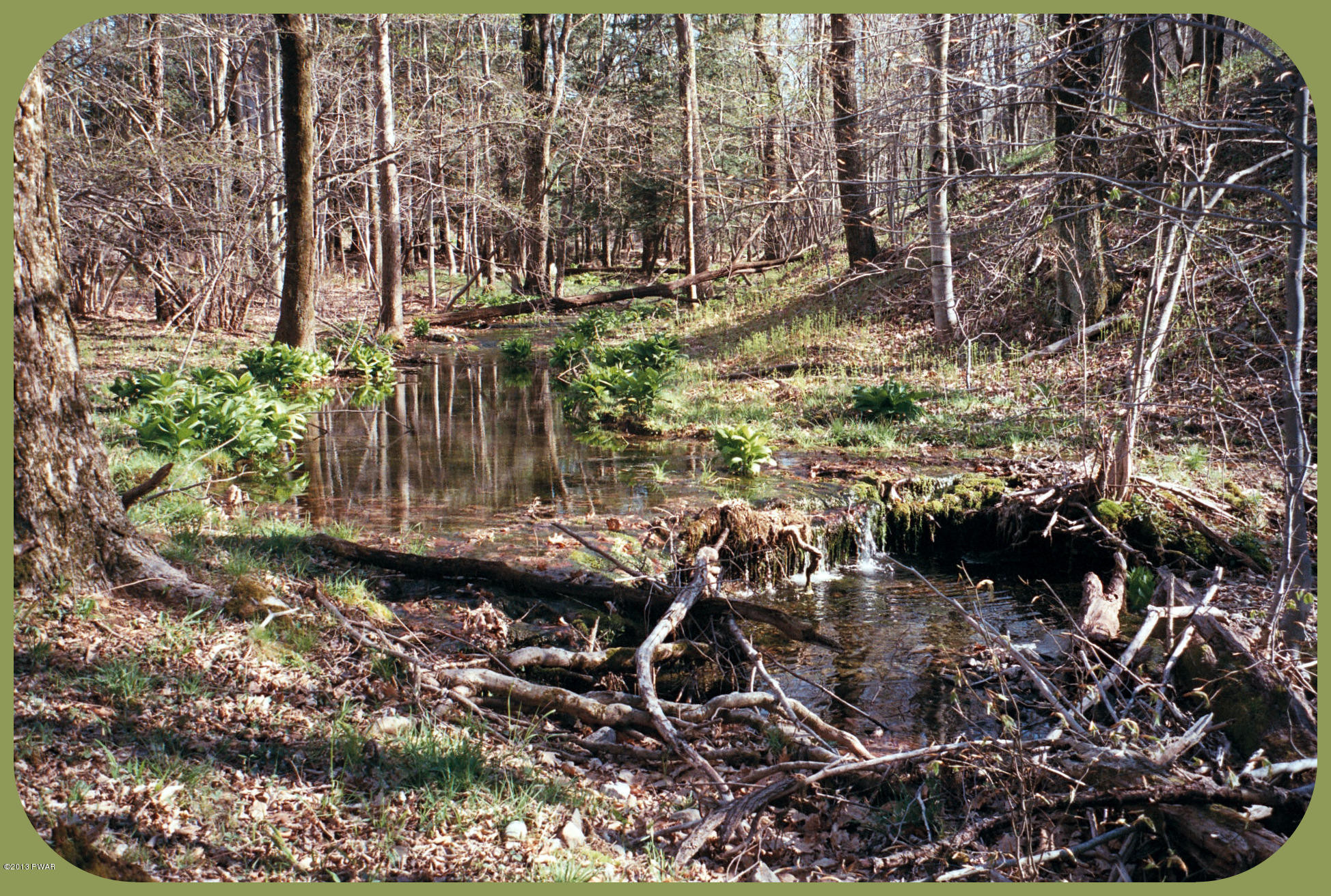 156 3 Legged Swamp Road Canadensis, PA 18325 - Photo 67 of 72