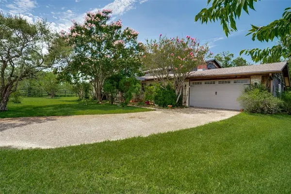 a view of a backyard with plants and palm trees