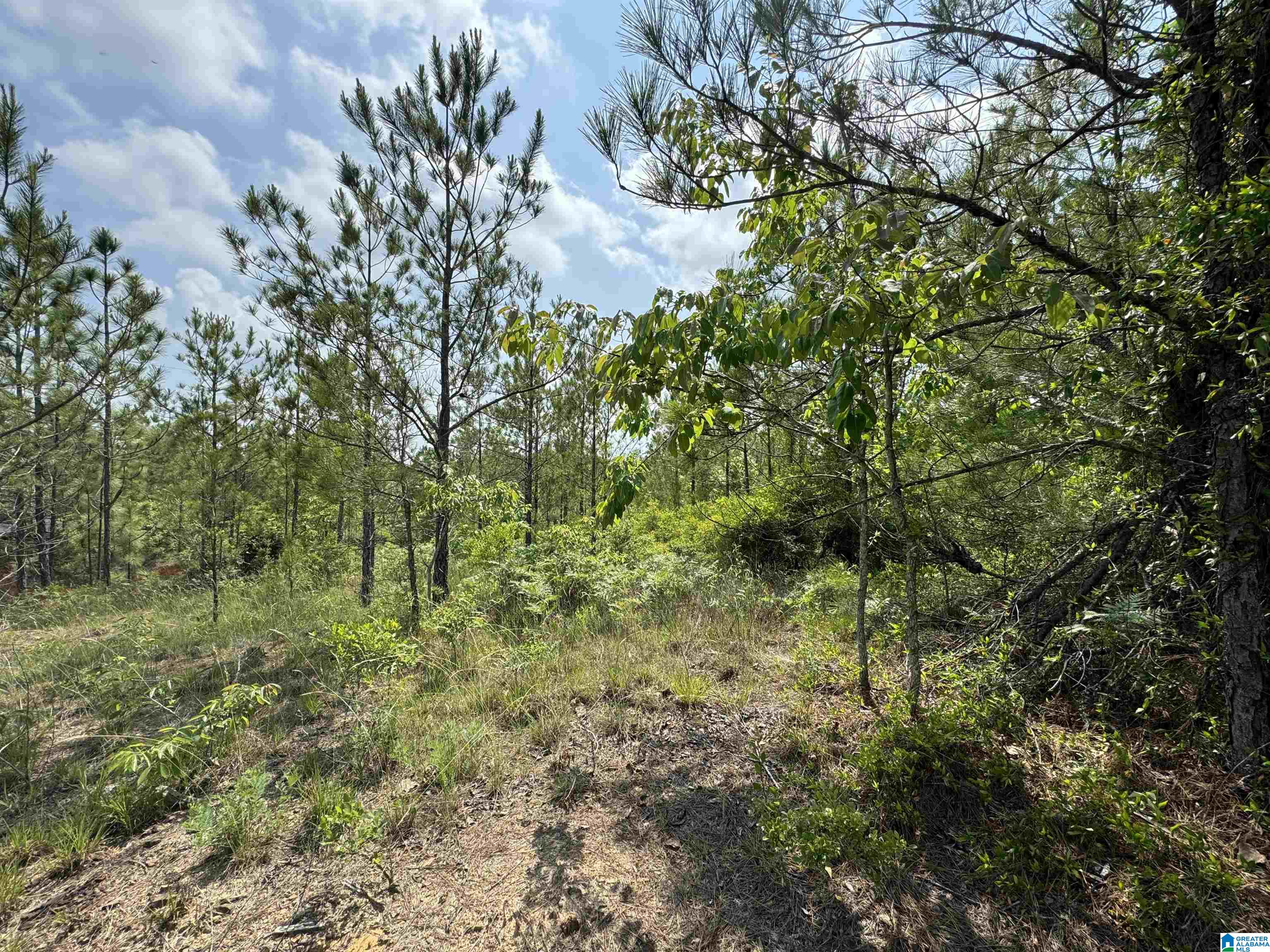 0 County Road 307, Unit 1 Stanton, AL 36790 - Photo 2 of 4