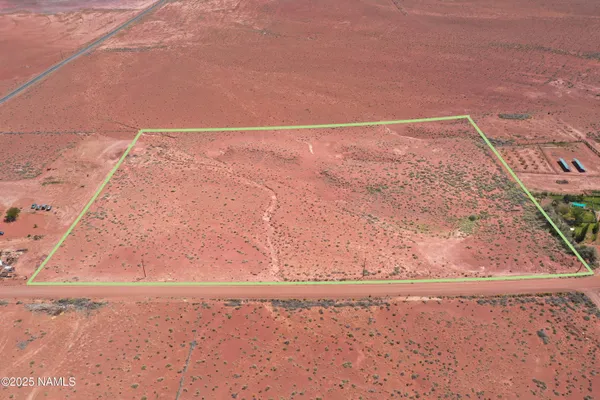 a view of a dry yard