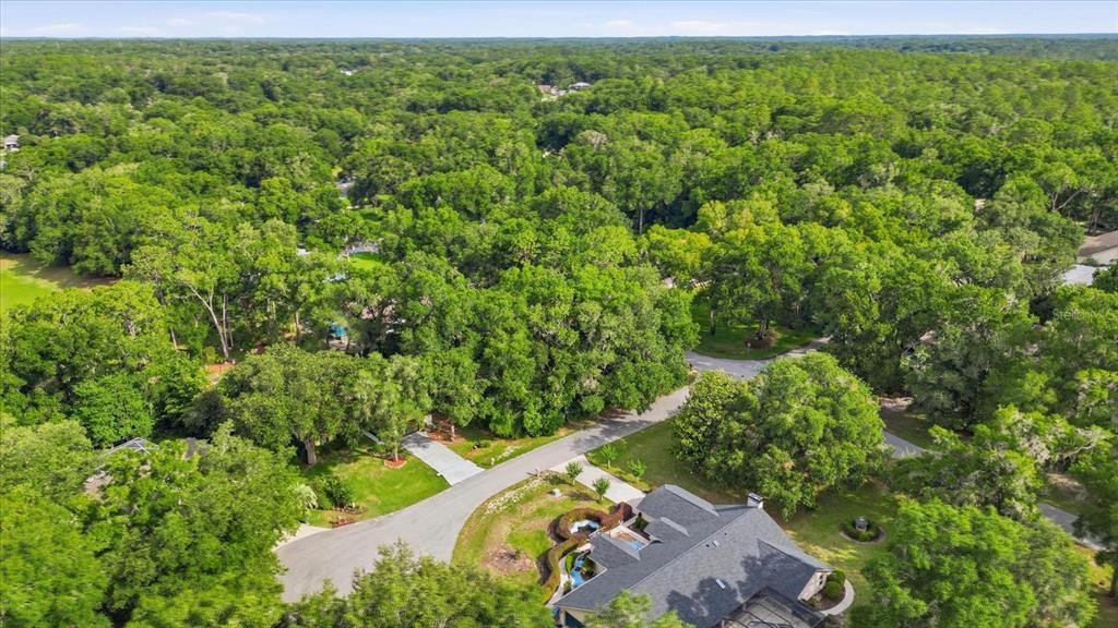 3 Southwest 93rd Loop Dunnellon, FL 34432 - Photo 6 of 17 Gallery Image 6