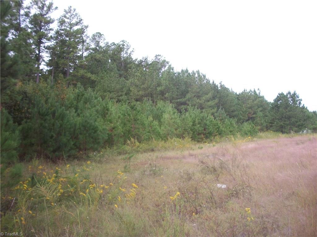 0 Martin Road Biscoe, NC 27209 - Photo 1 of 1 Gallery Image 1