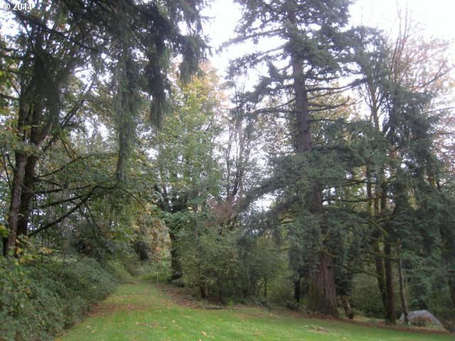71 Cabin Road Washougal, WA 98671 - Photo 1 of 13 Gallery Image 1