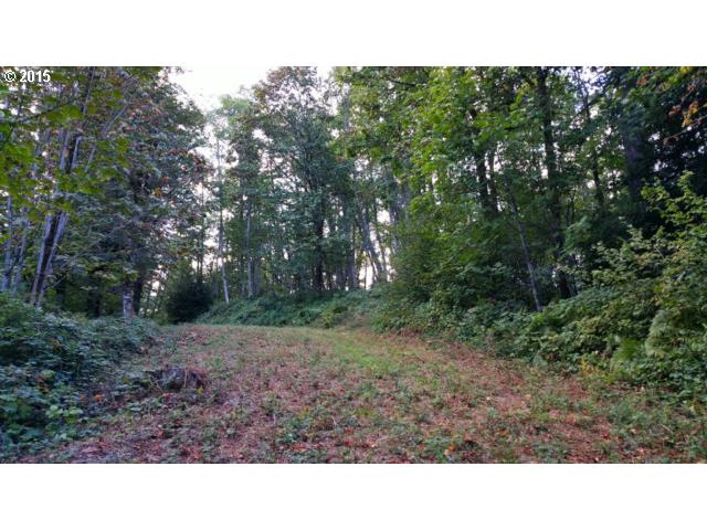 71 Cabin Road Washougal, WA 98671 - Photo 11 of 13 Gallery Image 11