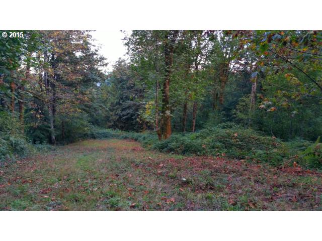 71 Cabin Road Washougal, WA 98671 - Photo 2 of 13 Gallery Image 2