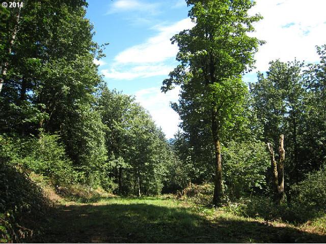 71 Cabin Road Washougal, WA 98671 - Photo 4 of 13 Gallery Image 4