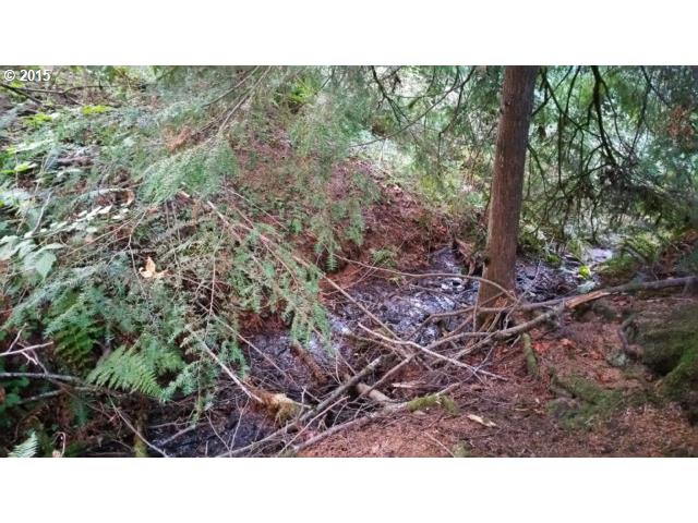 71 Cabin Road Washougal, WA 98671 - Photo 6 of 13 Gallery Image 6