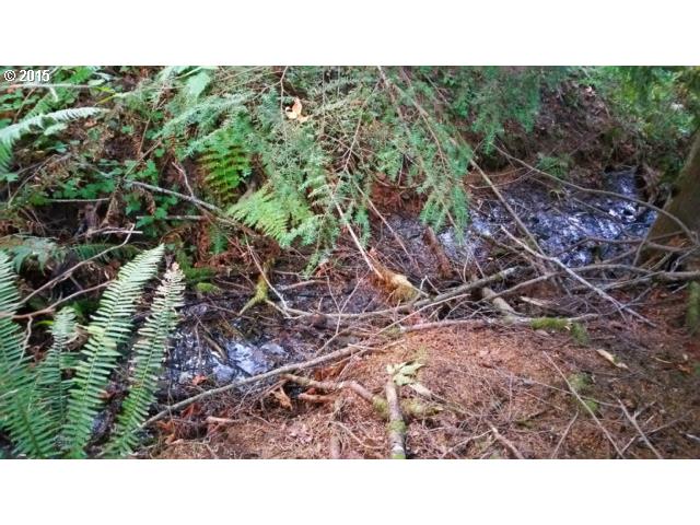71 Cabin Road Washougal, WA 98671 - Photo 7 of 13 Gallery Image 7