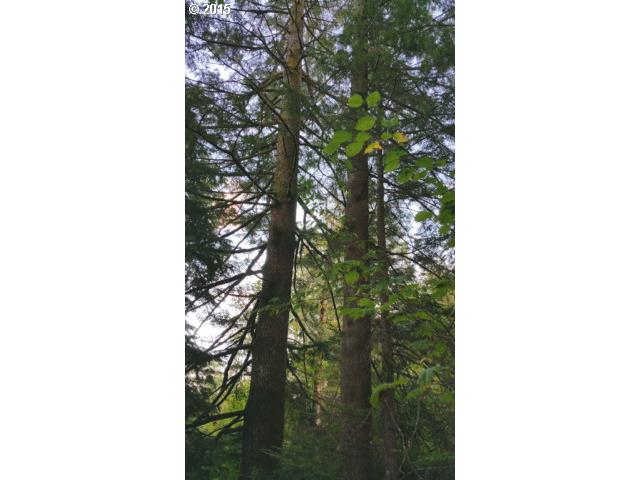 71 Cabin Road Washougal, WA 98671 - Photo 9 of 13 Gallery Image 9