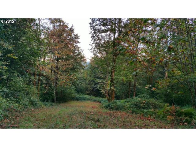 71 Cabin Road Washougal, WA 98671 - Photo 10 of 13 Gallery Image 10