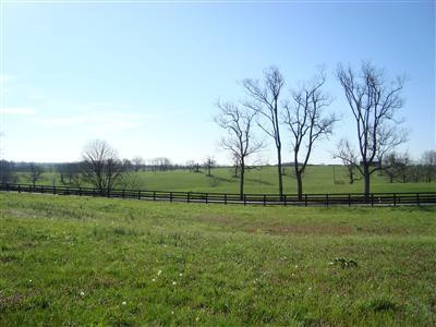 375 Stoney Point Road Paris, KY 40361 - Photo 2 of 25 Photo 2