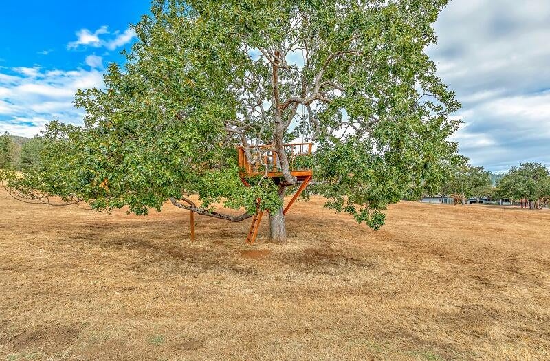 3843 Walker Creek Road Central Point, OR 97502 - Photo 69 of 75 9R9A3358