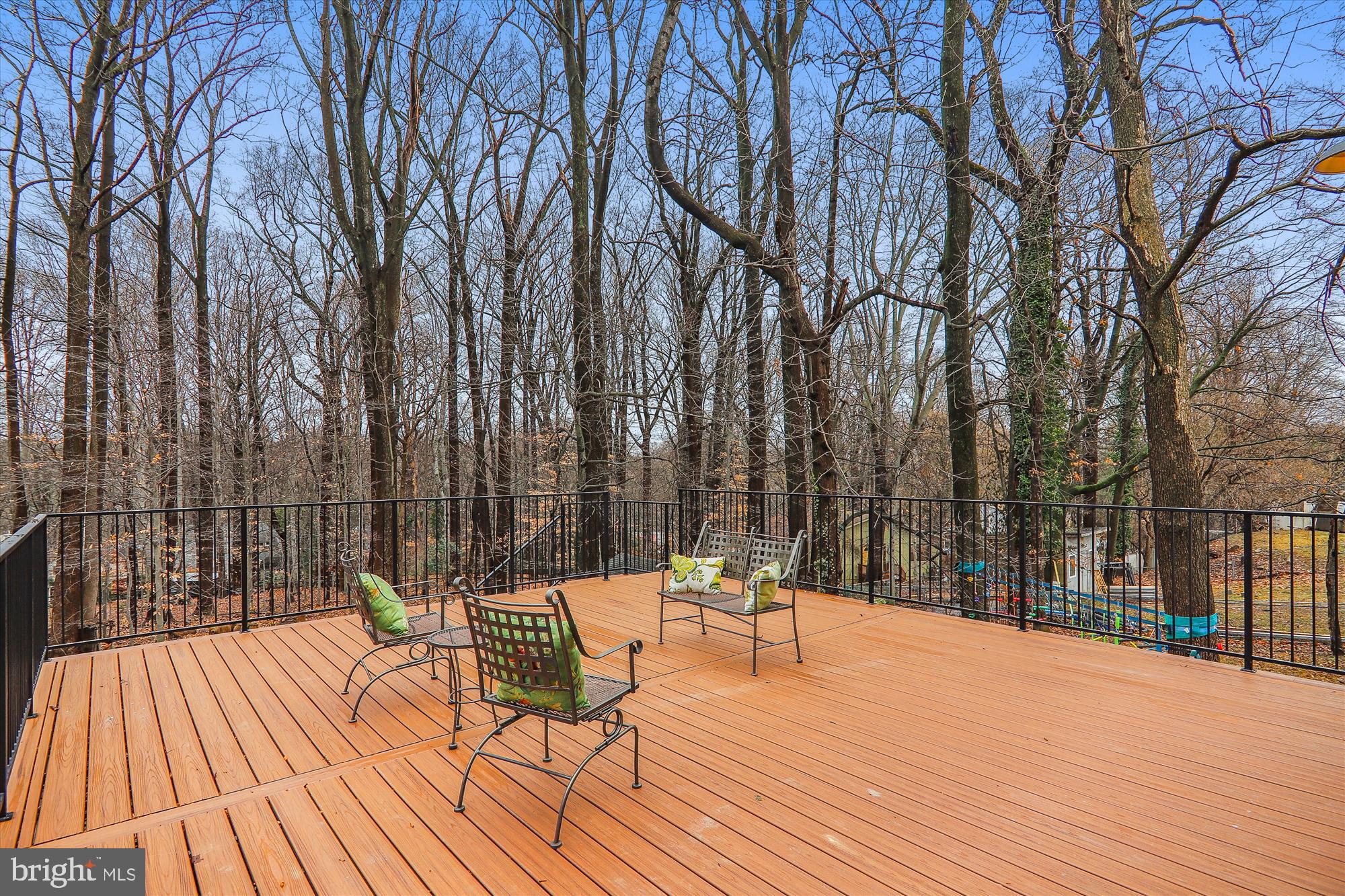 106 Geneva Avenue Silver Spring, MD 20910 - Photo 74 of 116