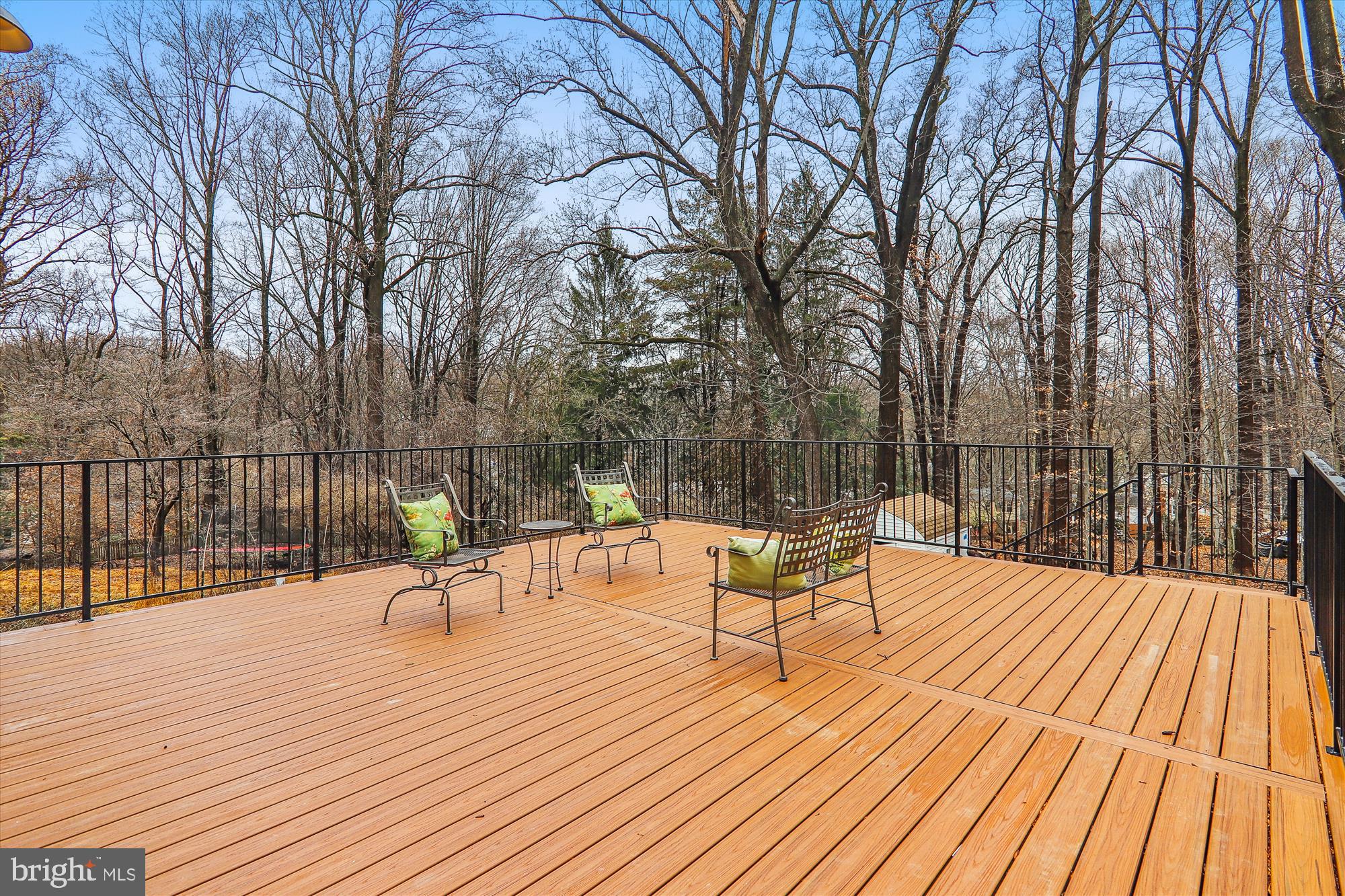 106 Geneva Avenue Silver Spring, MD 20910 - Photo 75 of 116