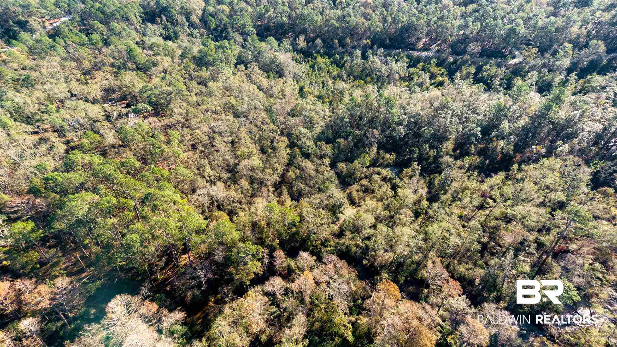 0 McPhillips Road Loxley, AL 36551 - Photo 18 of 27