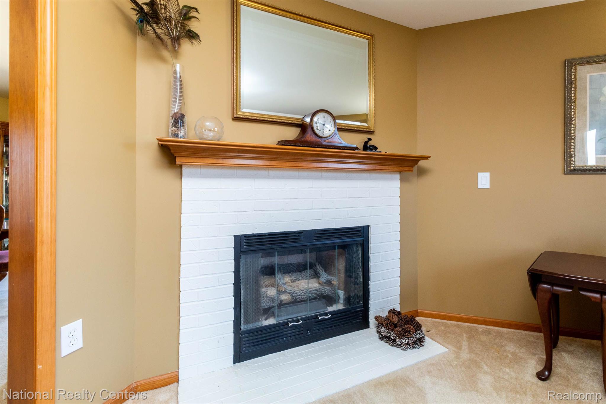 67573 Haven Ridge Road New Haven, MI 48050 - Photo 9 of 54 GAS FIREPLACE