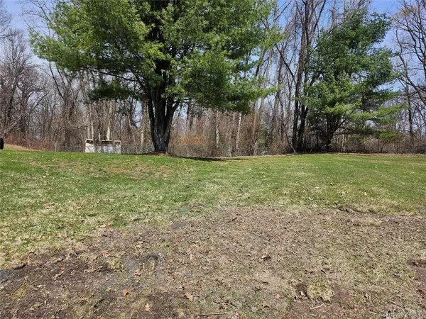 a big yard with large trees and wooden fence