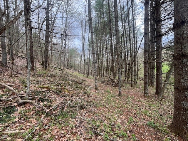 15.01-ac Pine Run Road, Unit 115110A Draper, VA 24324 - Photo 14 of 57 Gallery Image 14