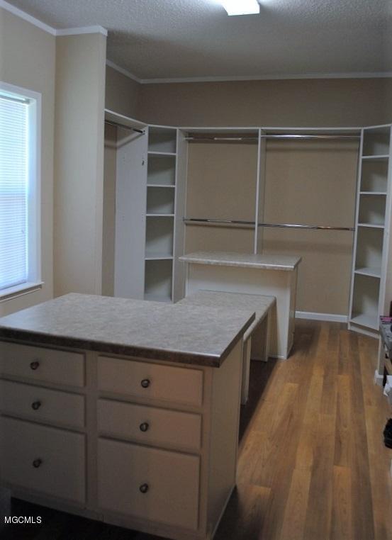 11382 County Farm Road Gulfport, MS 39503 - Photo 20 of 37 Master Bed Closet