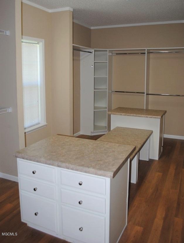 11382 County Farm Road Gulfport, MS 39503 - Photo 22 of 37 Master Bed Closet