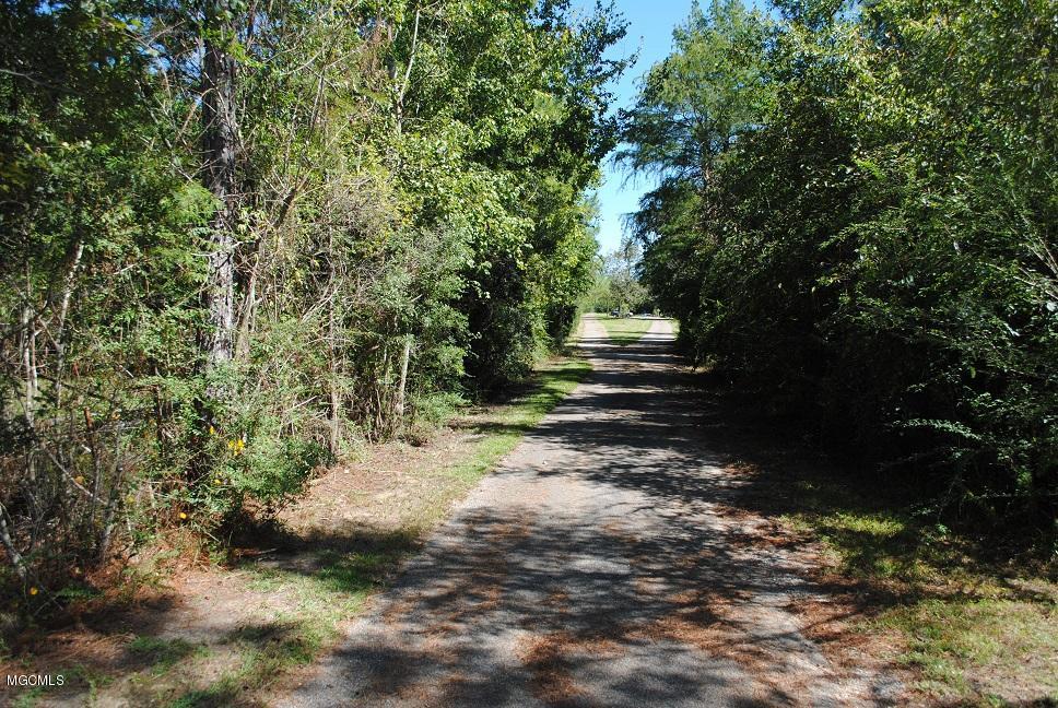 11382 County Farm Road Gulfport, MS 39503 - Photo 37 of 37 Driveway to property