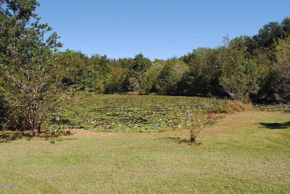 11382 County Farm Road Gulfport, MS 39503 - Photo 6 of 37 Pond