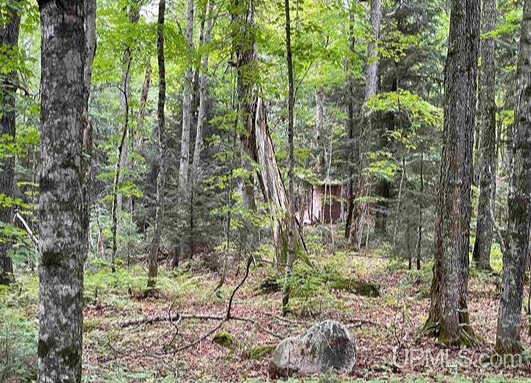 Tbd Tbd Loon Lake Road Michigamme, MI 49861 - Photo 9 of 10
