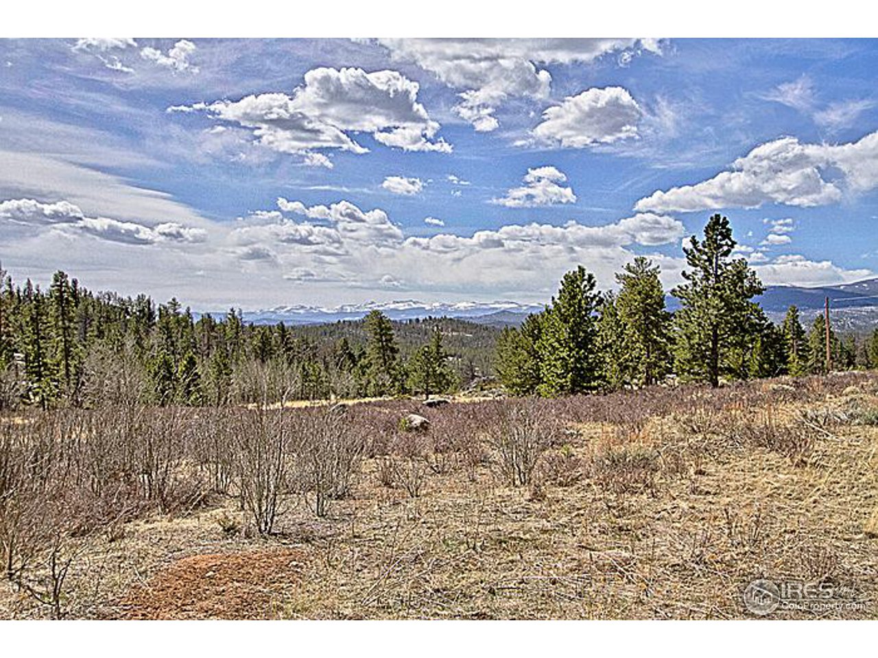 694 Cimarron Road Red Feather Lakes, CO 80545 - Photo 3 of 24 View from Deck
