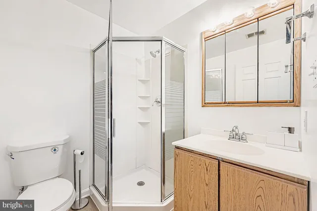 a bathroom with a shower sink vanity mirror and toilet