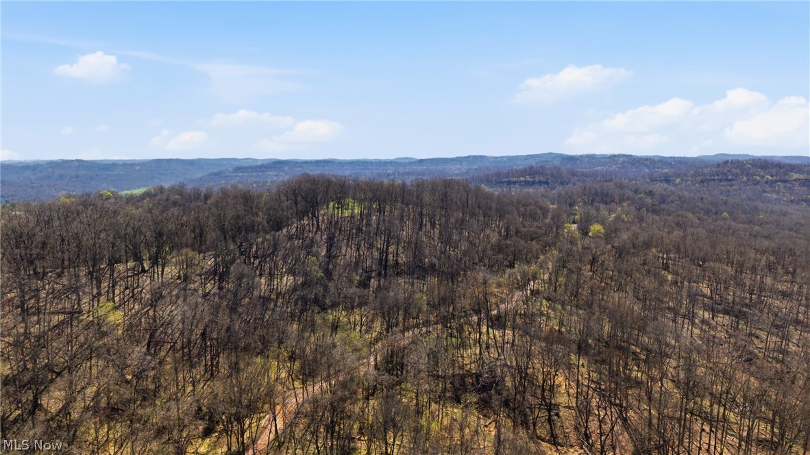 Logston Run Road Ravenswood, WV 26164 - Photo 9 of 10