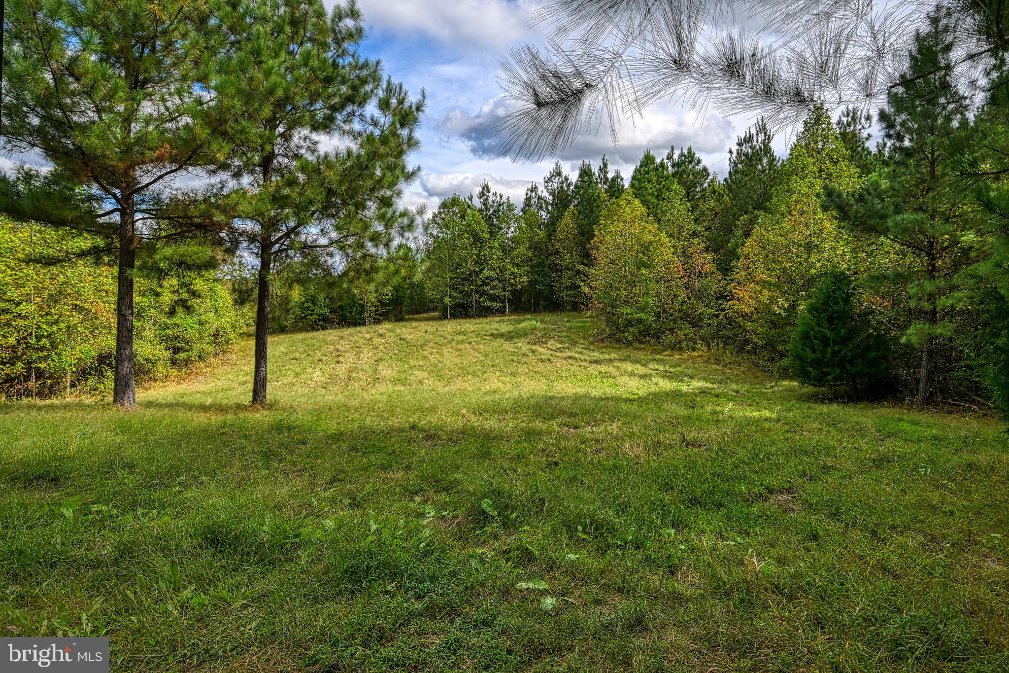 Cross Country Road Mineral, VA 23117 - Photo 32 of 58 Gallery Image 32