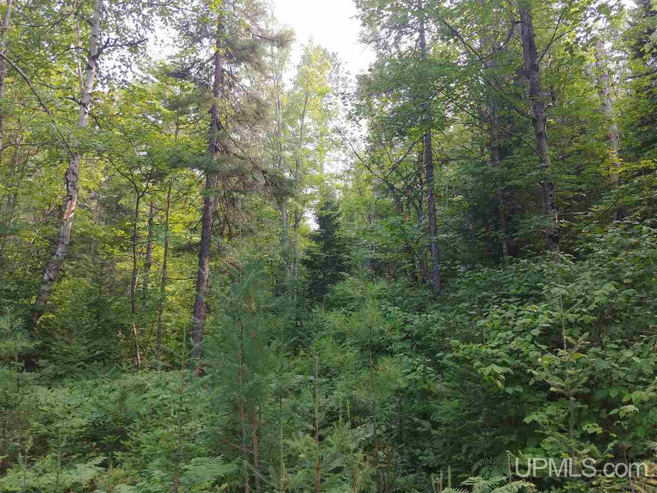 42-acres 42-acres Co Road Ishpeming, MI 49849 - Photo 4 of 16
