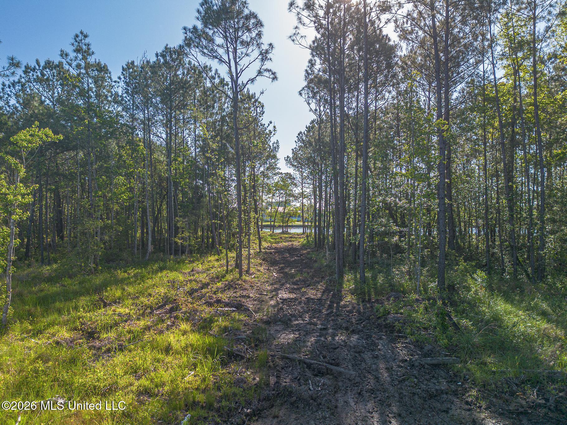 13080 Enciente Point Drive Kiln, MS 39556 - Photo 27 of 30 Enciente-94