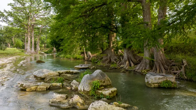 a view of a lake from a yard