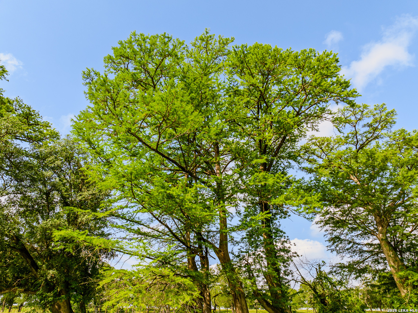 0 Rancho Del Rio Guadalupe Comfort, TX 78013 - Photo 14 of 33 a backyard of a house with lots of green space