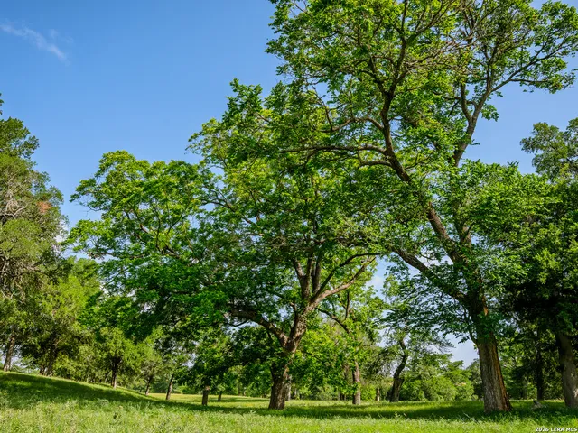 $1,474,950 | 0 Rancho Del Rio Guadalupe, Comfort, TX 75013
