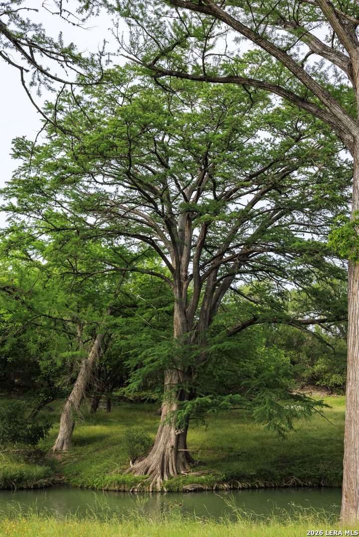 0 Rancho Del Rio Guadalupe Comfort, TX 78013 - Photo 26 of 33 a view of a garden with a bench