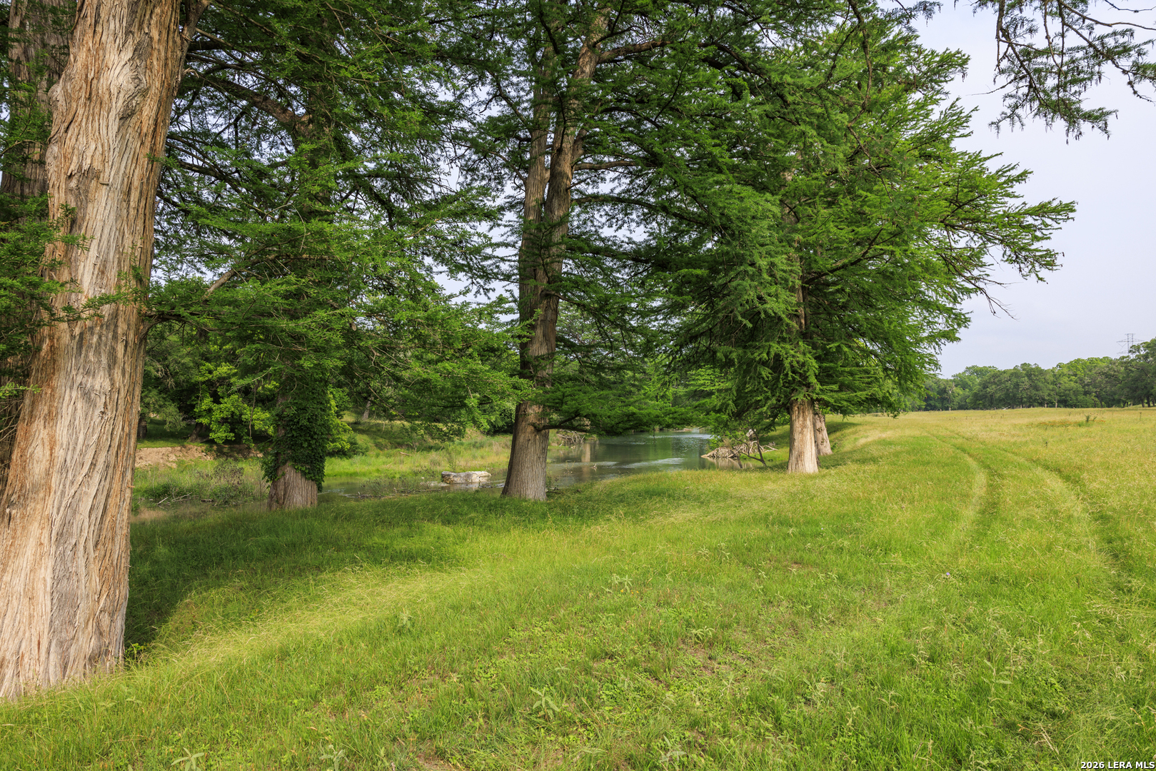 0 Rancho Del Rio Guadalupe Comfort, TX 78013 - Photo 31 of 33 a view of a garden with a tree