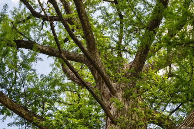 $1,474,950 | 0 Rancho Del Rio Guadalupe, Comfort, TX 75013