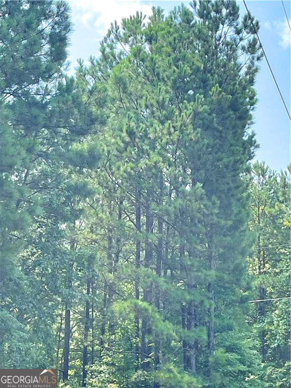 0 Felton Mcmichael Rd & Hayes - Landlot 090 Road Monticello, GA 31064 - Photo 7 of 7