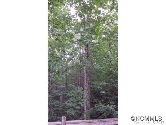 48 Oakridge Road Pisgah Forest, NC 28768 - Photo 9 of 24
