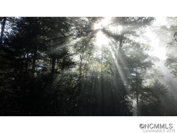 48 Oakridge Road Pisgah Forest, NC 28768 - Photo 10 of 24